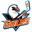 San Diego Gulls